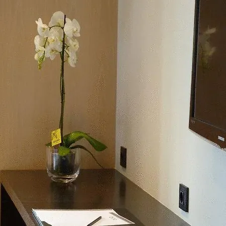 San Miguel Hotell